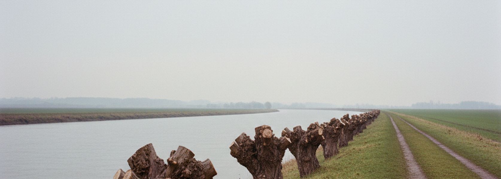 A bare towpath along a river embankment in winter, pollarded willows cut back to knuckles, flat gray water below.